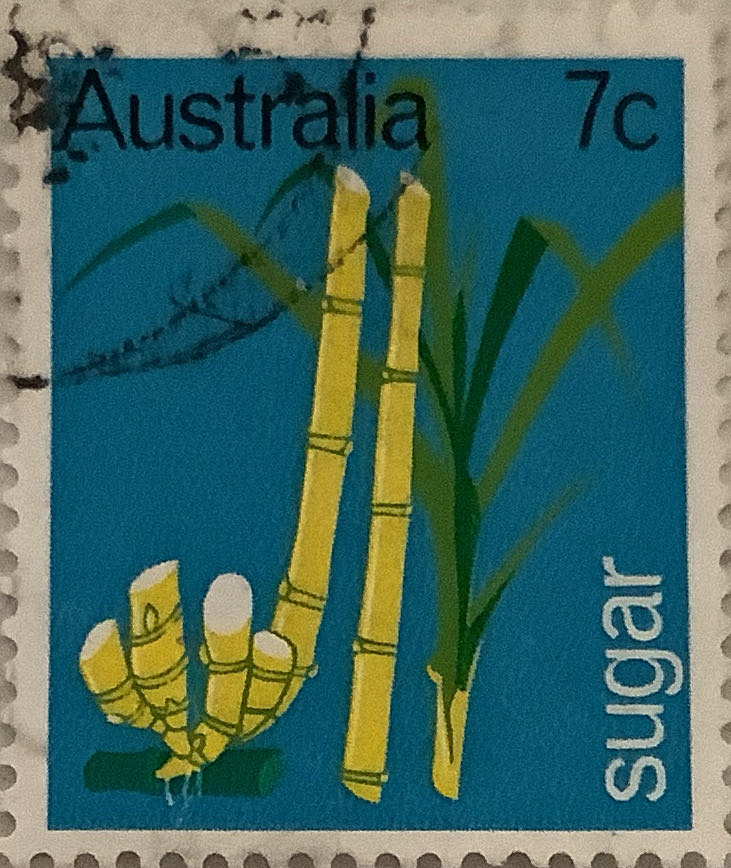 The 100th Anniversary Of Girl Guides