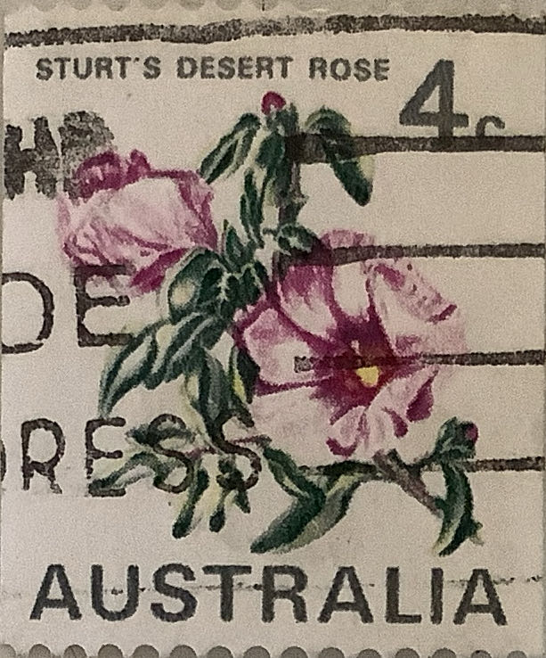 Blue And White Woman Carrying A Gourd Of Water With Cows