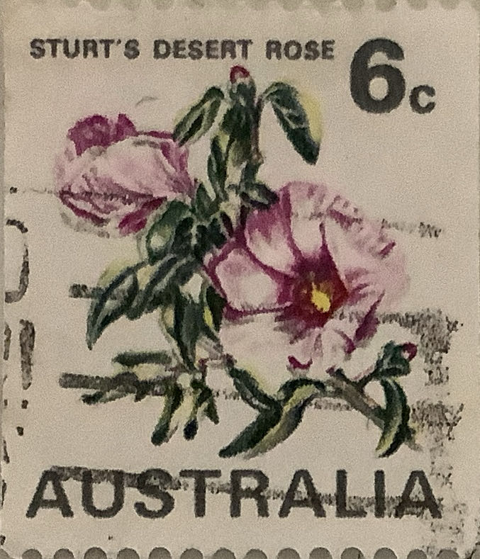 The Canadian Flag Over Forest