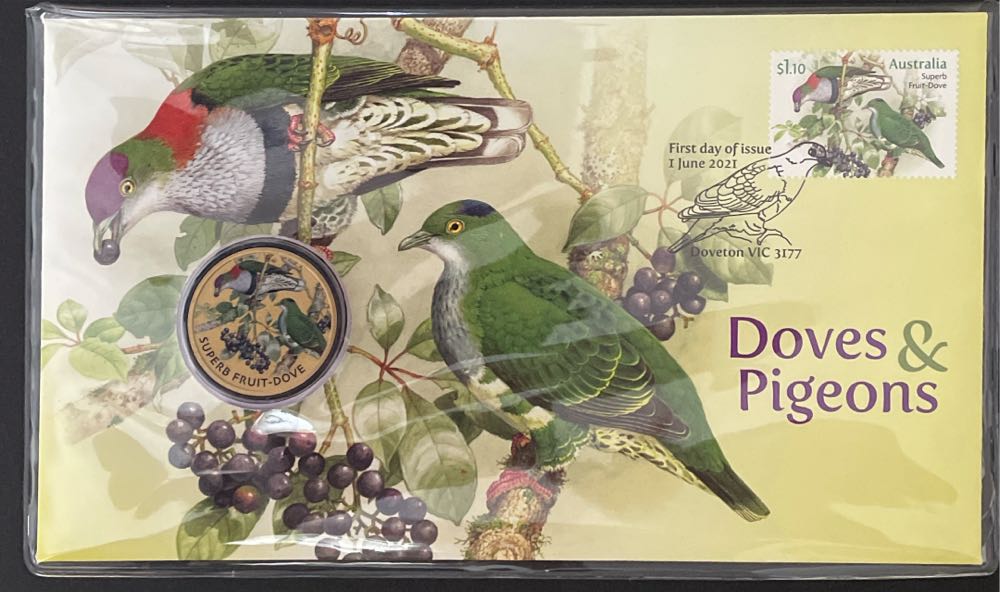 Explorers And Discoverers