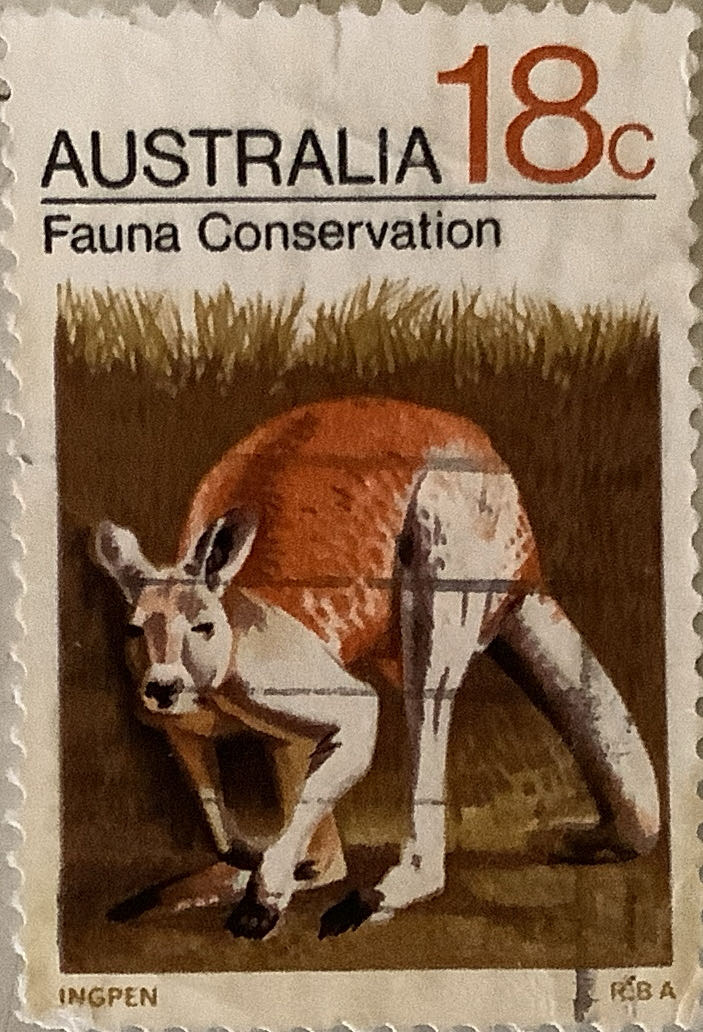 The 16th Anniversary Of The Parliamentary Conference Of Commonwealth Countries