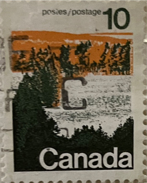 International Cooperation