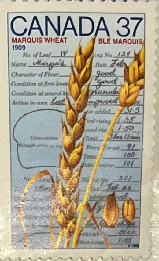 Protected Poisonous Mushrooms