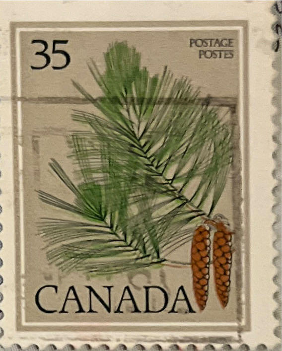 Industrial Development And Views Of The Country