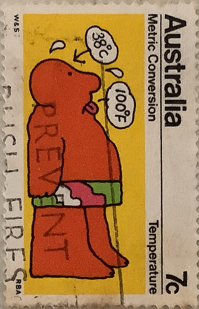 The 100th Anniversary Of The District Nursing Services