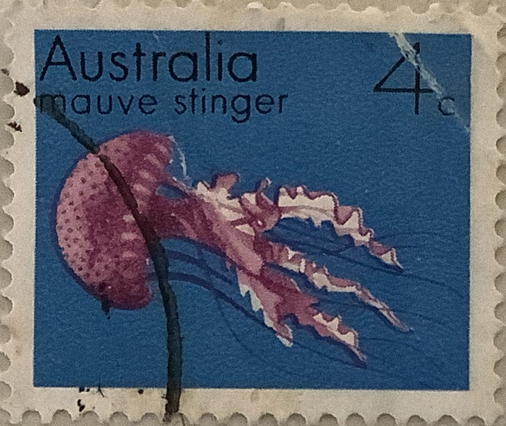 The Second Joint Space Flight 