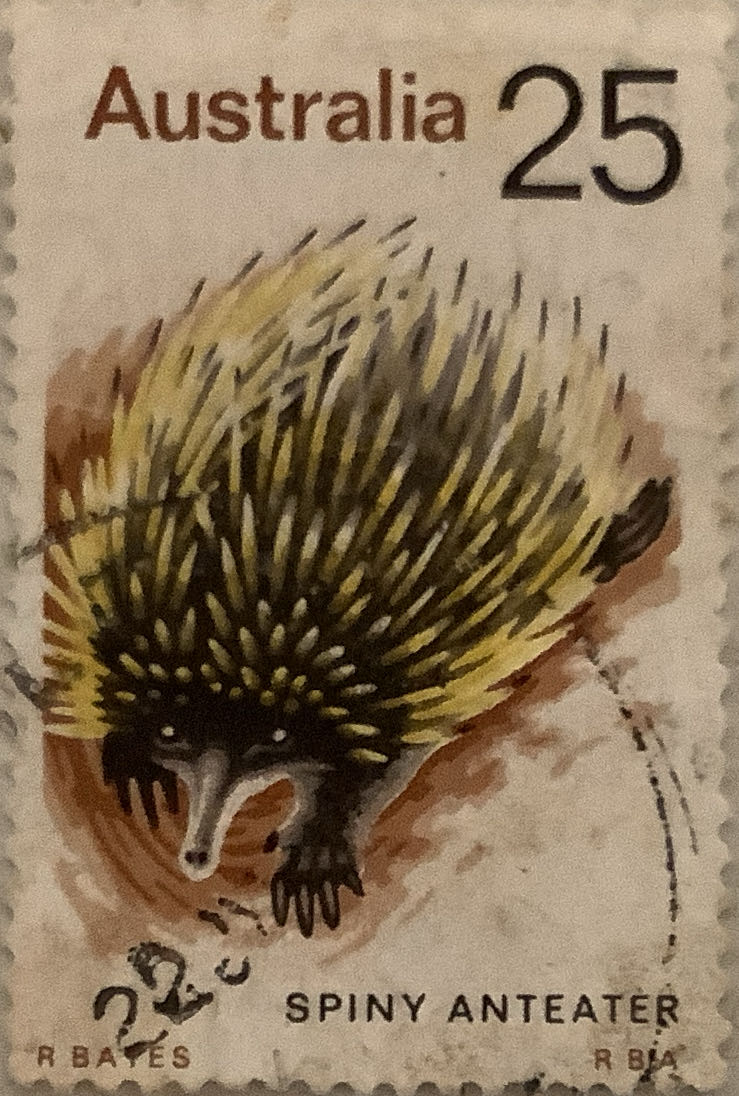 1429-1432. Культура народов России. Головные уборы Республики Татарстан