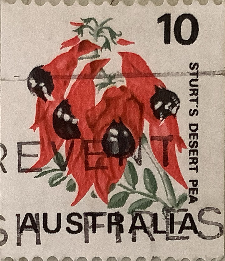 Special Occasions Love