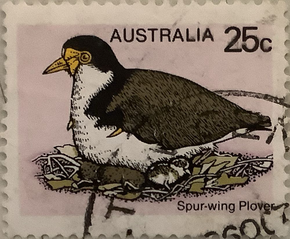 The 25th Anniversary Of The World Health Organisation