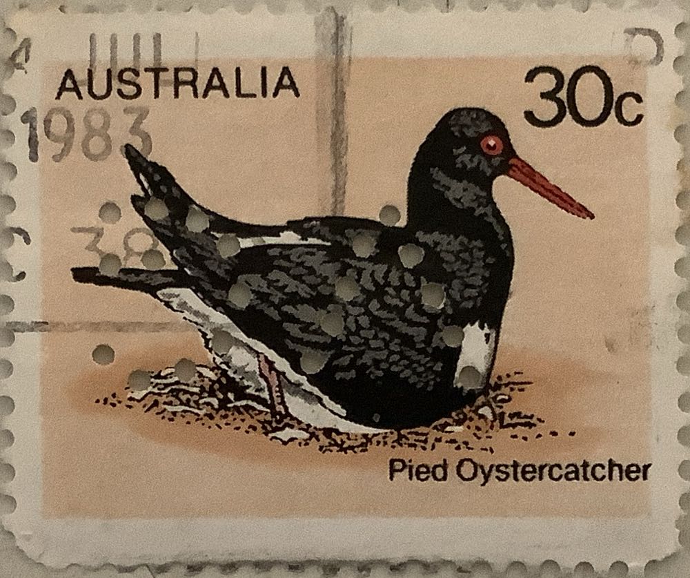 Special Occasions Babies