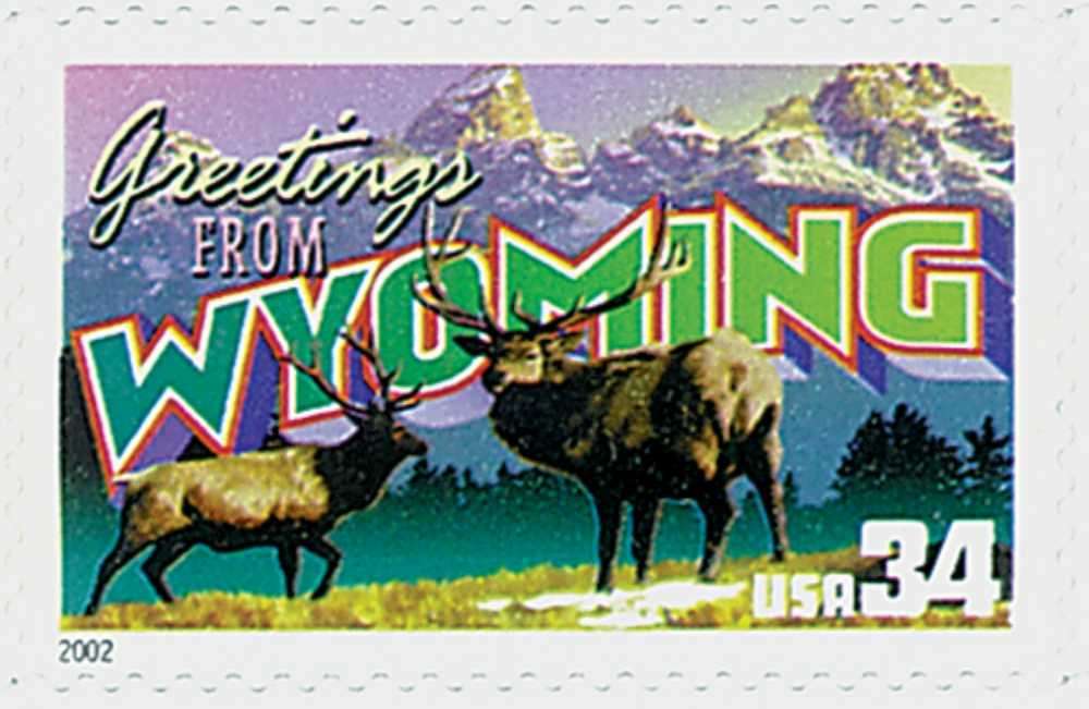 Marine Life And Minerals