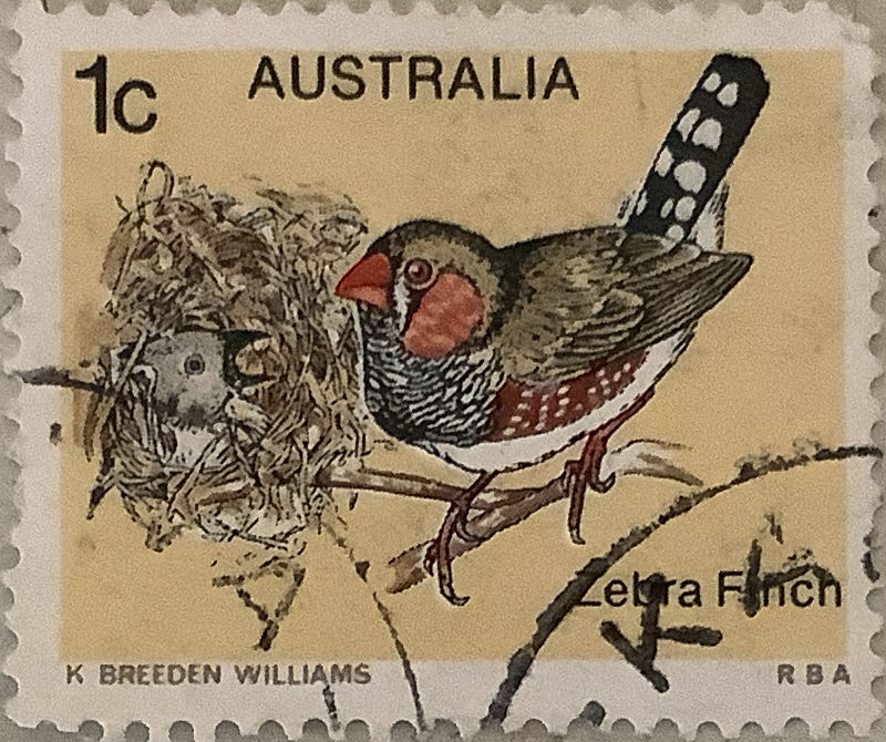 Traffic And Transport