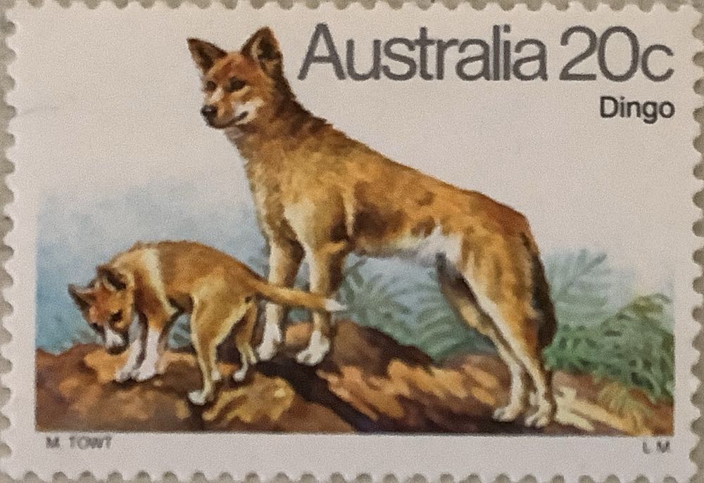 1888-1890. Фауна России. Дикие кошки