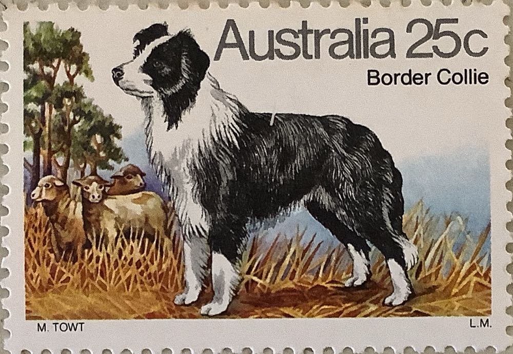 Australian Kingfishers - Yellow-billed Kingfisher