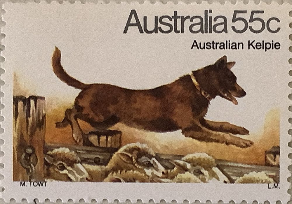 The 25th Anniversary Of The World Health Organisation