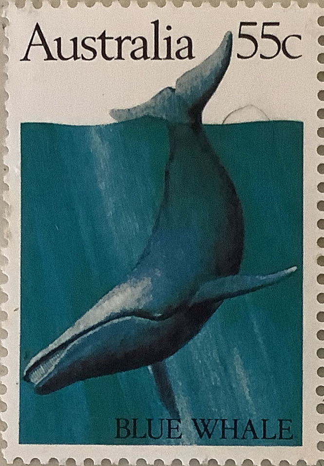 The History Of Hockey