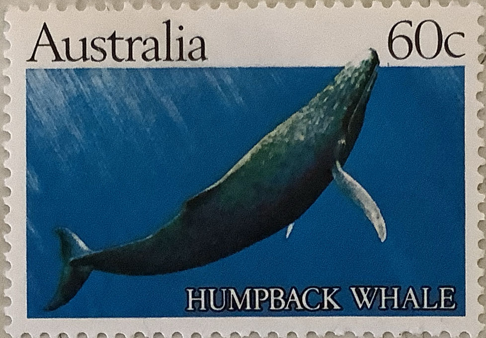 Olympic Games London U.K.