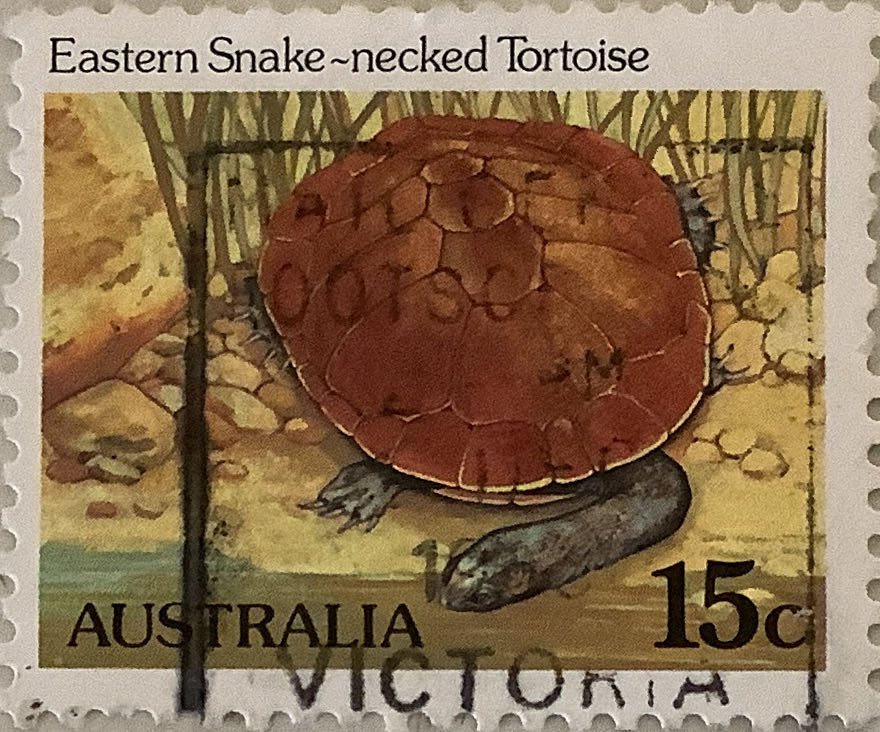 Václav Zapadlík Světová auta