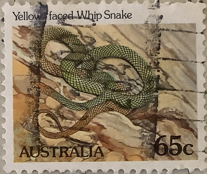 Cape Hatteras Post Card