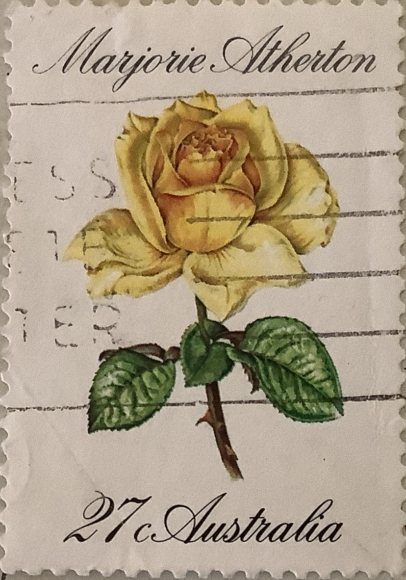 Pnc Australia Australian Bush Babies Possum Perth Mint $1 Coin