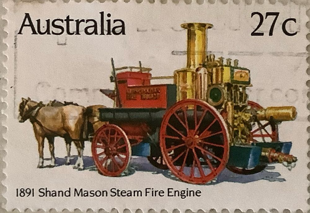 Flora And Fauna Birds From Wetlands