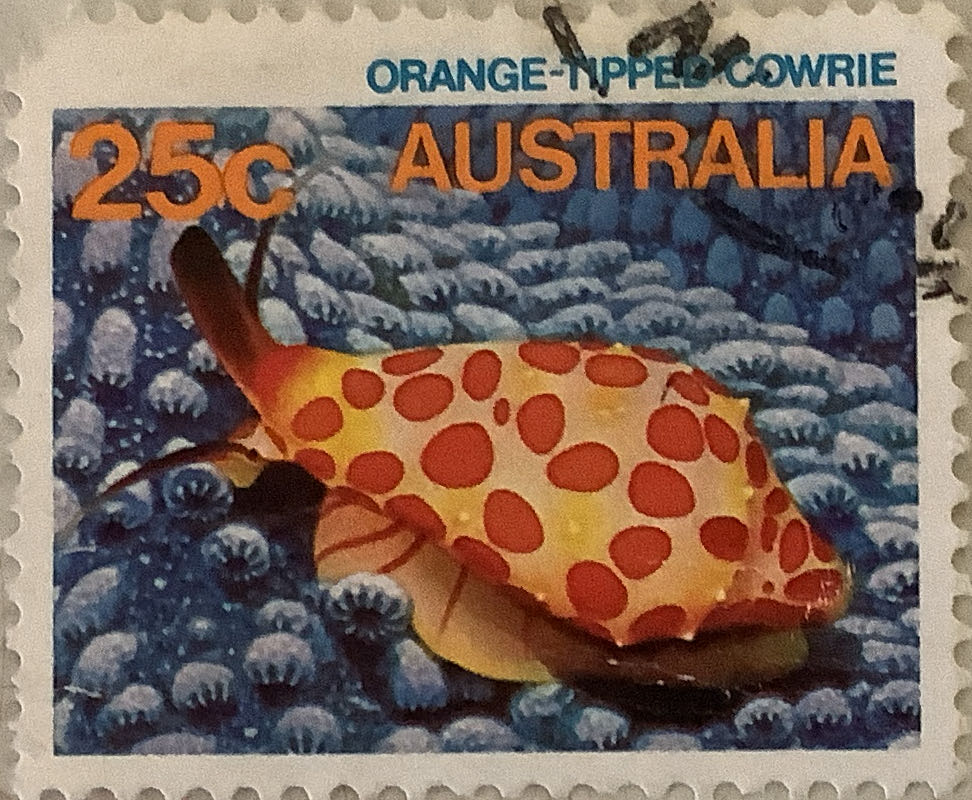 D1751 Punny Pals With Thin Cuts