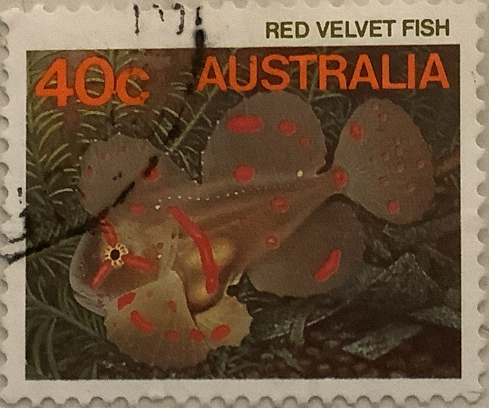 Olympic Games 1976: Running