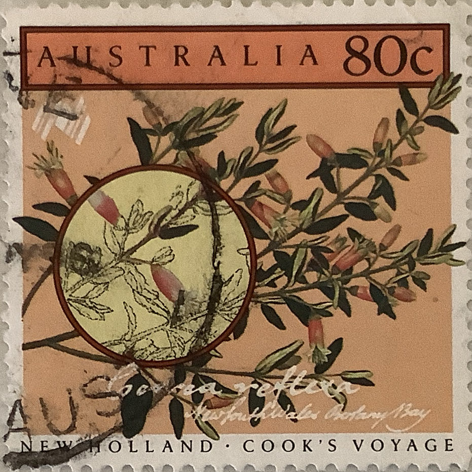 The 100th Anniversary Of The Sheffeild Shield Cricket Games 1892 1992