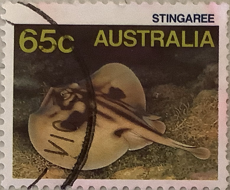 Flag Land Of The Free