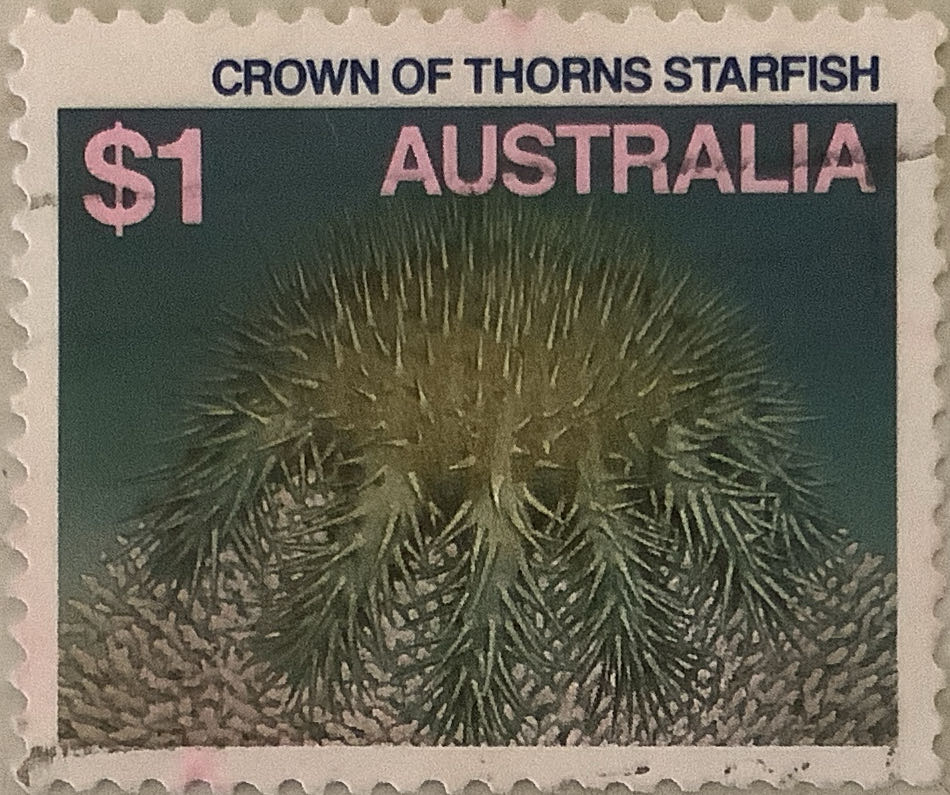 C1661 Heartfelt Thoughts