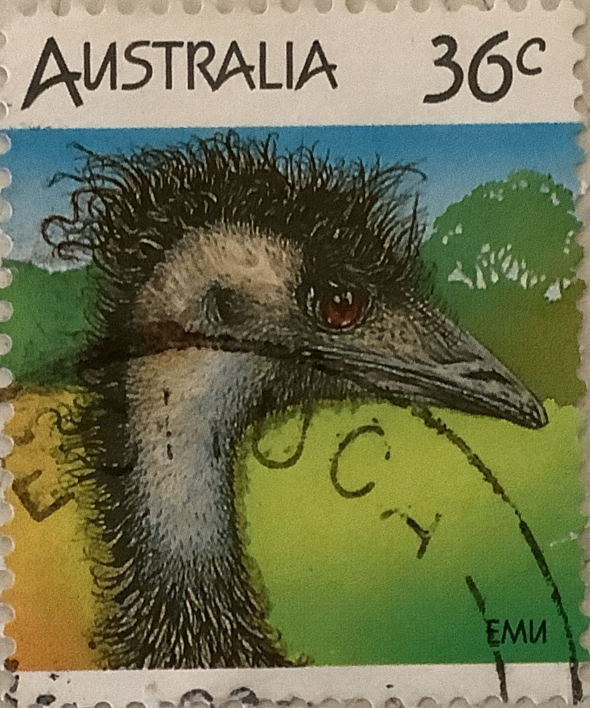 Explorers And Discoverers