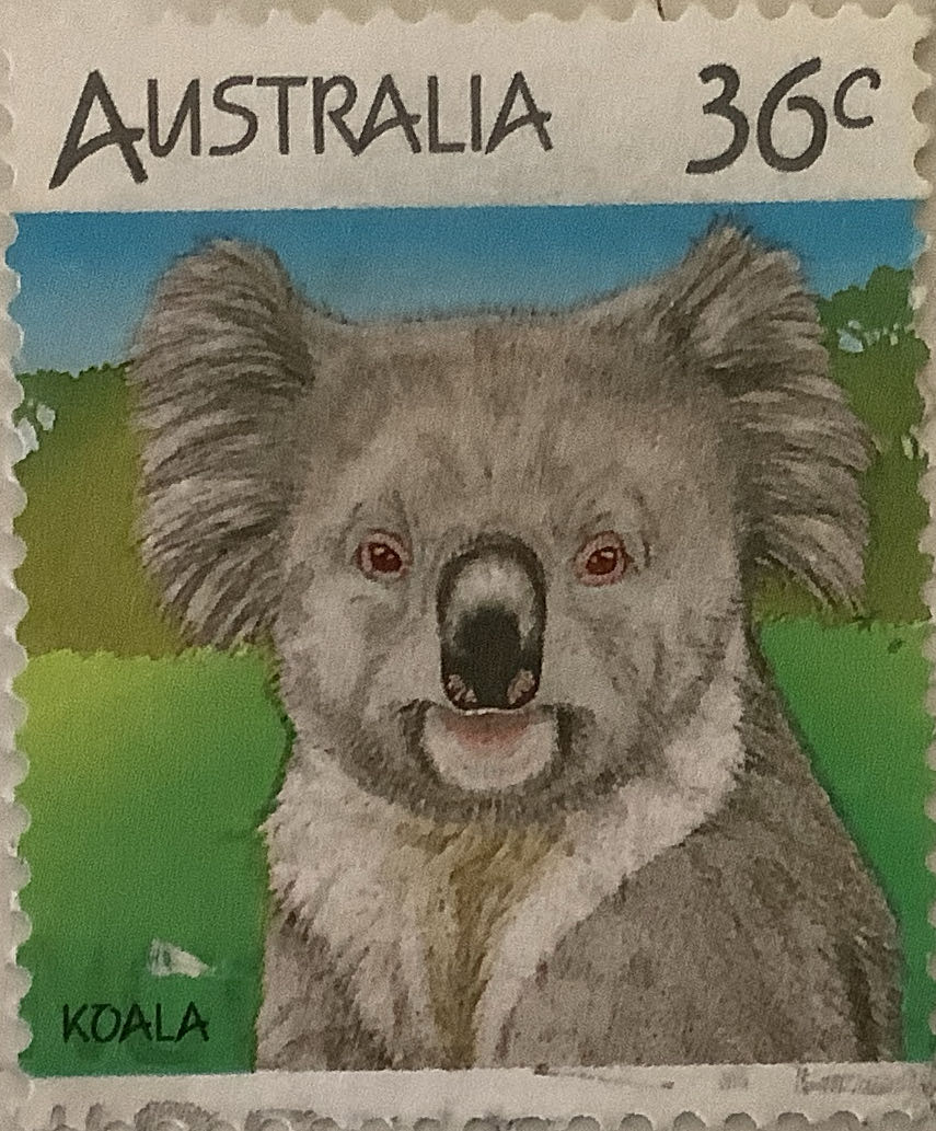 Z3536 African Safari With Thin Cuts