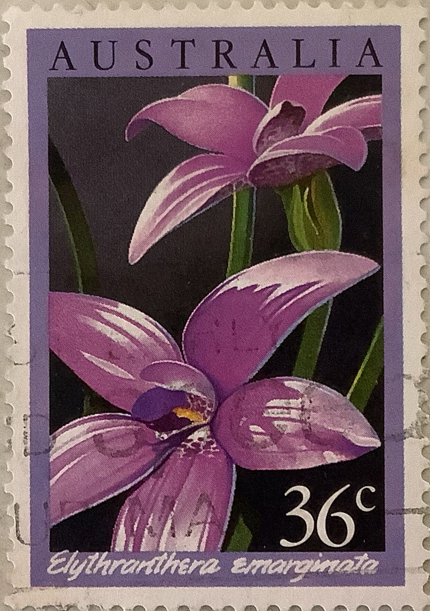 B1419 Joyful Birthday