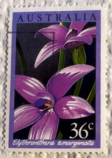 Orchids  stamp collectible - Main Image 2