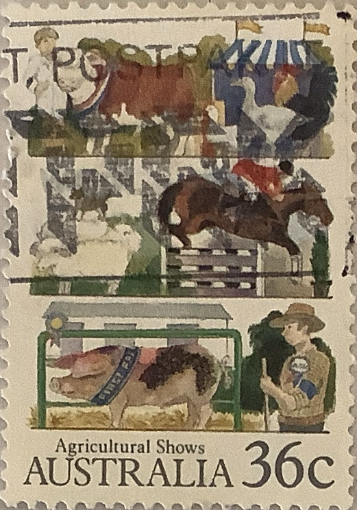 Paintings Of Aborigines