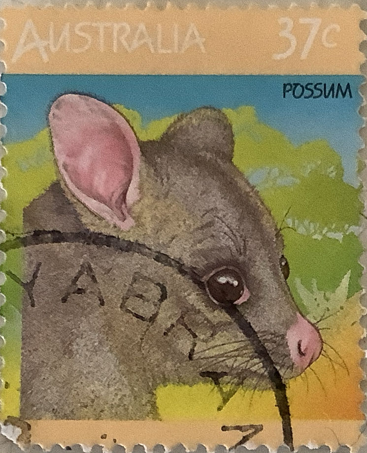 2843-2844. Арктическая зона Российской Федерации. Туризм