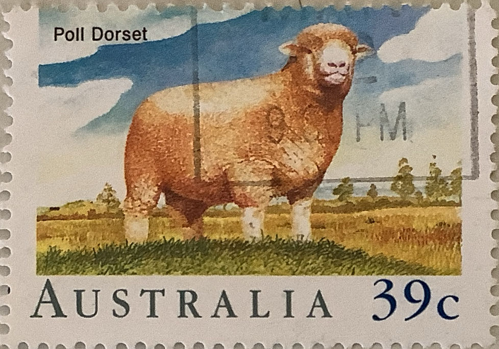 The 11th Anniversary Of The World Congress Of Buildings And Savings Societies