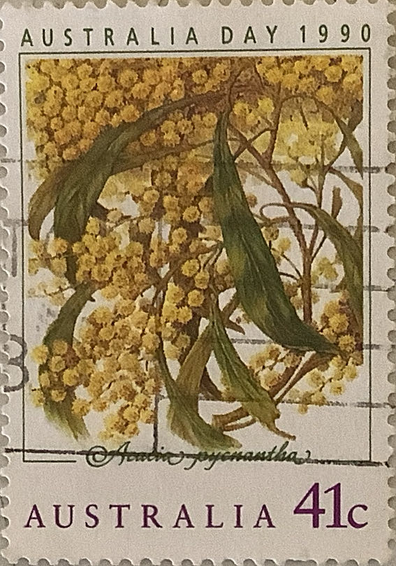 Australian Pnc Anda Melbourne Money Expo 2024