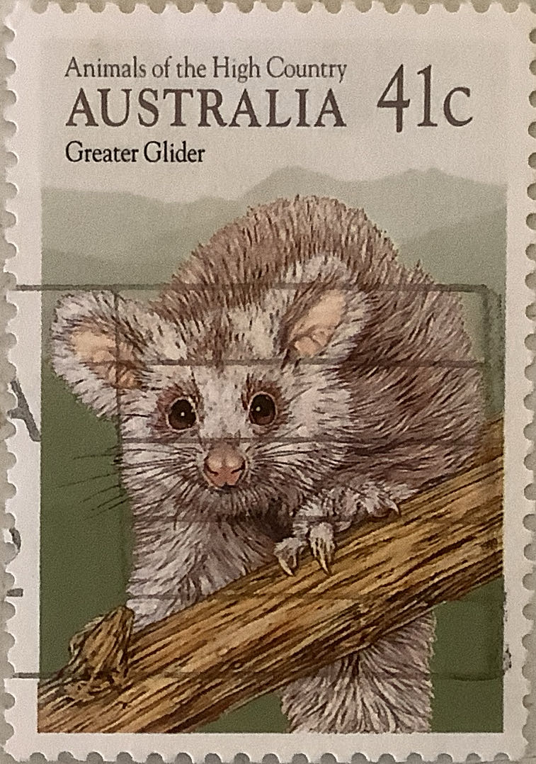 The 200th Anniversary Of The First Fleet Arriving From Tenerife 