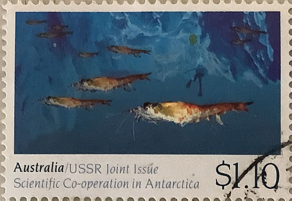 The 100th Anniversary Of Life Saving Victoria 1894 1994