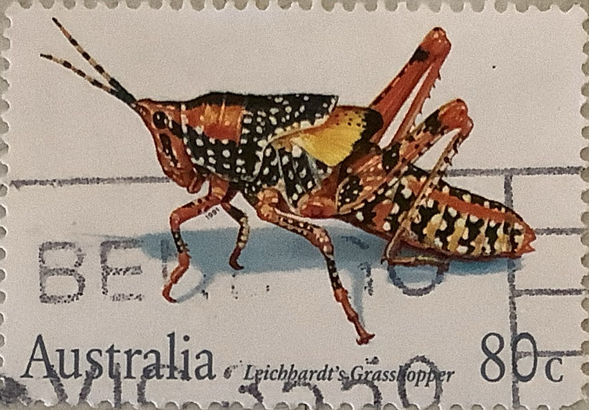 1916 Centenary Of WW1