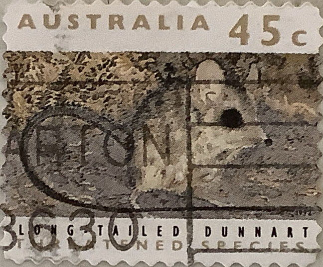 Special Occasions Babies