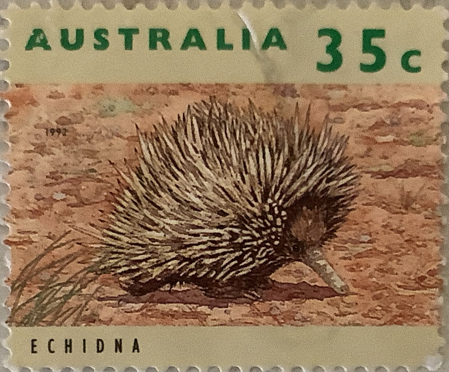 Flora And Fauna Birds From Wetlands