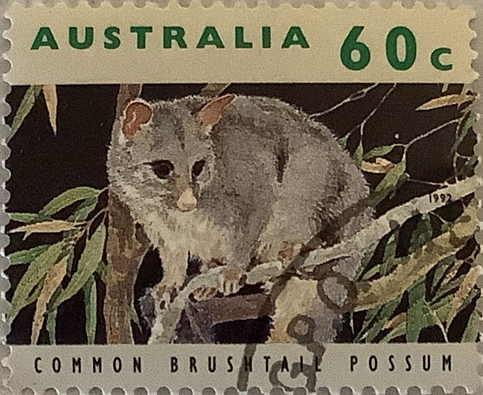 International Year For Education