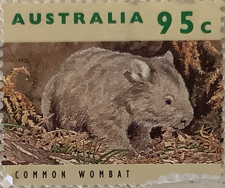 Scenes From Life Of The First Australian Imigrants