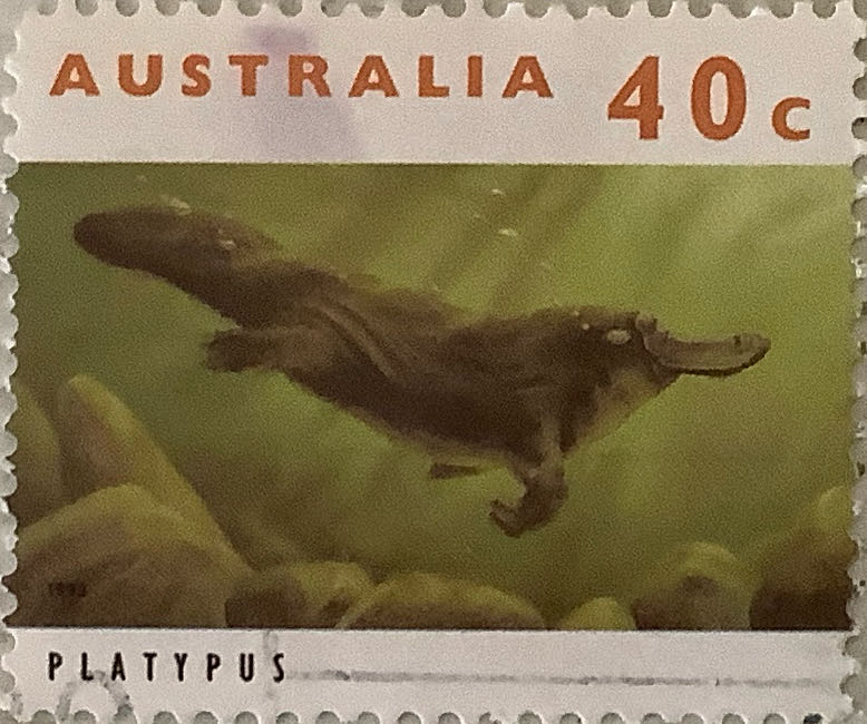 The 200th Anniversary Of The Colonization Of Australia