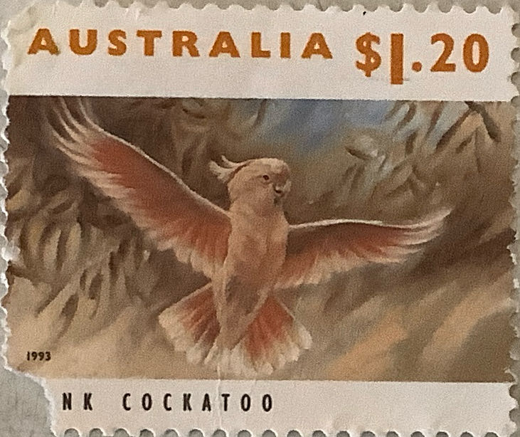 The 100th Anniversary Of The Australian Red Cross 1914 2014