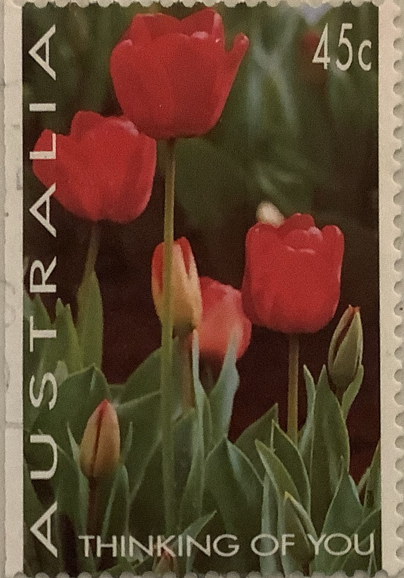 The History Of Rock’n Roll