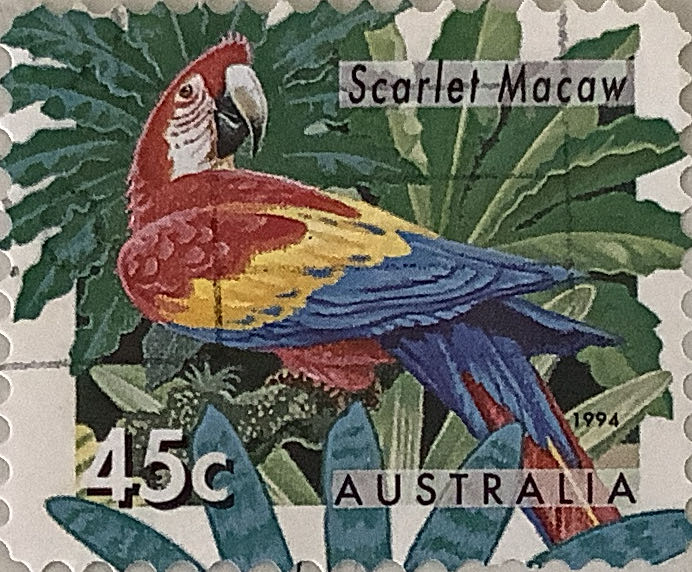 S2305 Little Stinkers