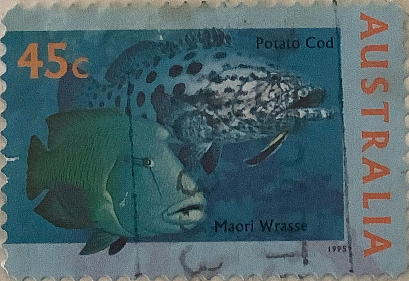 Flowers Floral Emblems